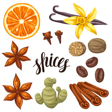 Various stylized spices set. Illustration of anise, cloves, vanilla, ginger and cinnamon