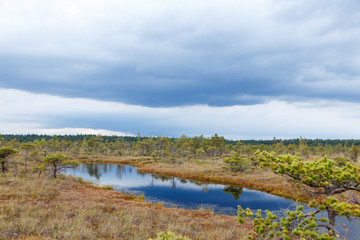 Beautiful Small lake in Kemeri National Park, Latvia, with a sky reflection in water surface.