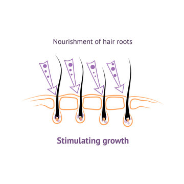 hair healthy growth and nutrition.