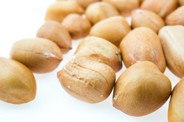 Close up of processed peanuts on white background.