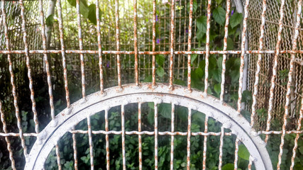 rusty cage