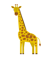 Obraz premium cartoon giraffe in flat style isolated on white background