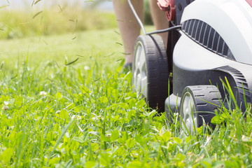 Gras fliegt beim Rasenmähen durch die Luft