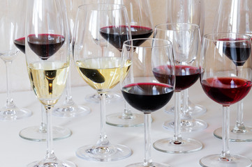 Many different glasses of wine