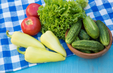 Cucumbers  in a bowl  and fresh vegetables