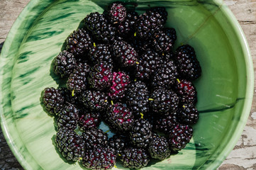 black mulberries in a bowl