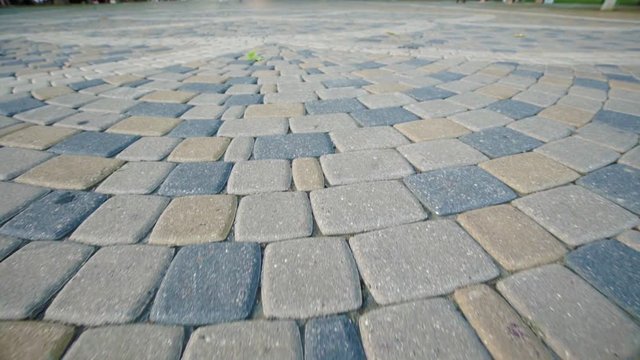 The Slow Movement over Stones of the Paved Street