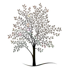 Tree with leaves silhouette