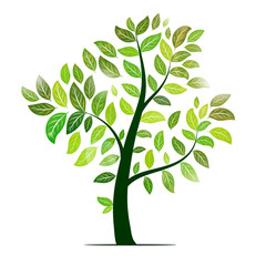 Vector tree with green leaves