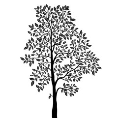 Tree with leaves silhouette