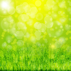 Fototapeta na wymiar Green summer background with grass