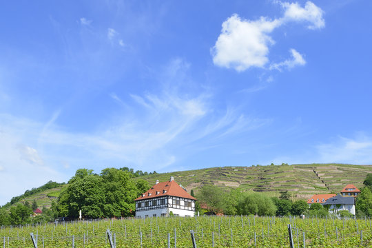 Radebeul