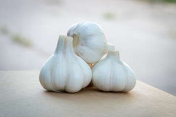 Hill of garlic on cardboard