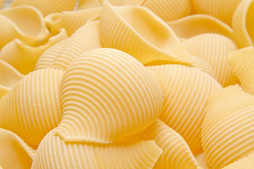 pasta conchiglioni lumaconi 