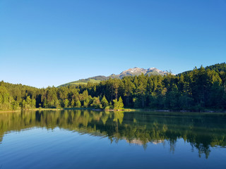Fototapeta na wymiar Blick über den Chapfensee in Mels im Kanton St.Gallen in der Schweiz.