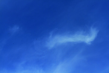 Beautiful nature with white cloud on blue sky