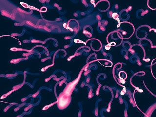 medically accurate 3d illustration of the human sperms