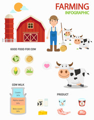 Cow farm infographics,illustration