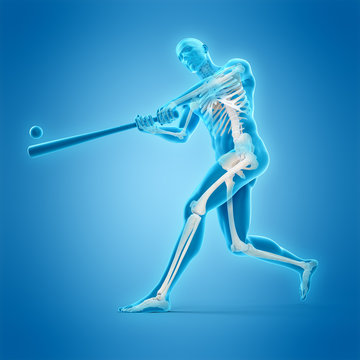 medically accurate 3d illustration of a baseball player