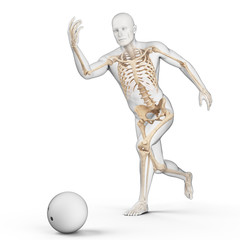 medically accurate 3d illustration of bowling player