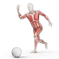 medically accurate 3d illustration of bowling player