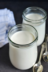Homemade fermented yogurt on a white background with space for t
