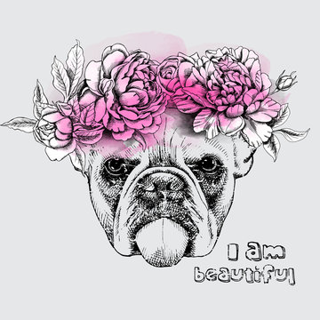 Image Portrait of a dog in the flowers. Vector illustration.