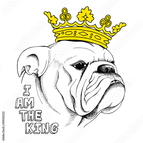 picture of portrait of a dog bulldog in the crown vector picture of portrait of a dog bulldog in the crown vector