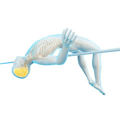 medically accurate 3d illustration of a highjump pose