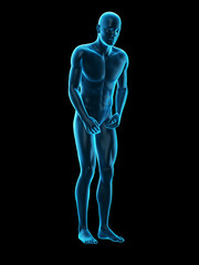 medically accurate 3d illustration of parkinson