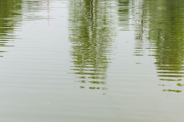 Nature abstract background, reflection of trees on the lake
