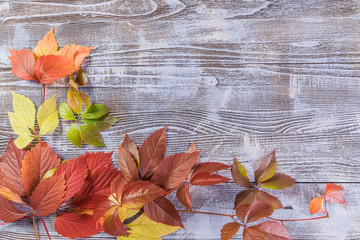 Fototapeta na wymiar Yellow and Orange Leaves on Wooden Boards