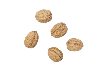 Mehrere Wallnüsse Freisteller