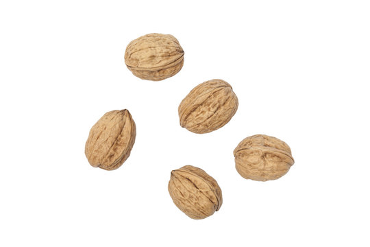 Mehrere Walln&uuml;sse Freisteller