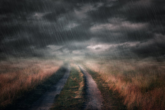 The road in the rain