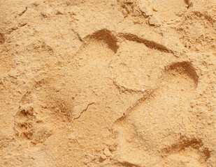 Texture of beach sand background