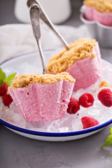 Raspberry cheesecake ice cream pops