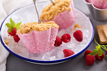 Raspberry cheesecake ice cream pops