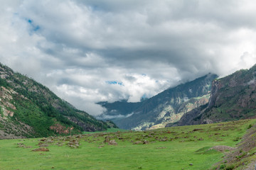 Republic of Altai Mountains