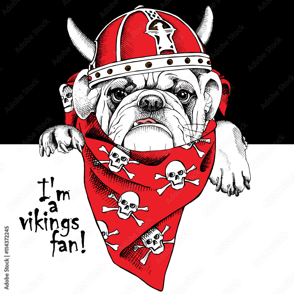 Wall mural The portrait of a dog in the viking helmet and in the neckerchief with the image skulls. Vector illustration.