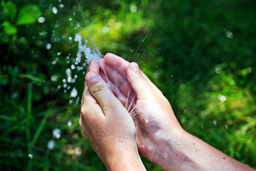 Hands under the sprinkler. Selective soft focus.