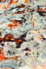 Moldy pizza
