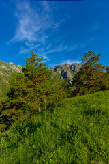 Altai Mountain in summer
