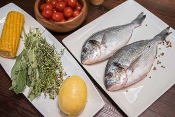 Fresh uncooked dorado