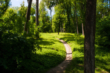 walking path in the park