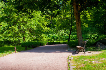 walking path in the park