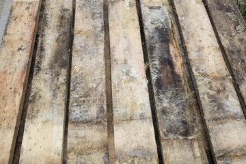 Board moldy from the damp