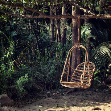 Fototapeta tropical background