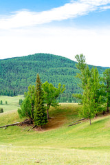Fototapeta na wymiar Altai Mountain in summer