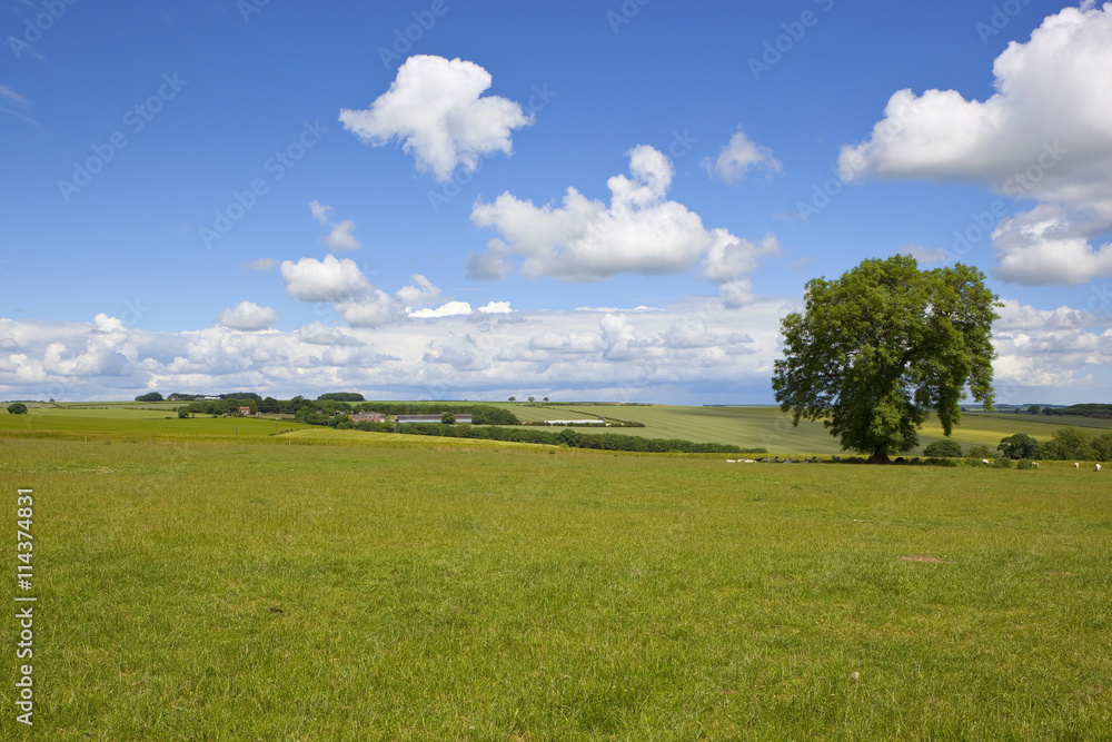 Poster english summer landscape